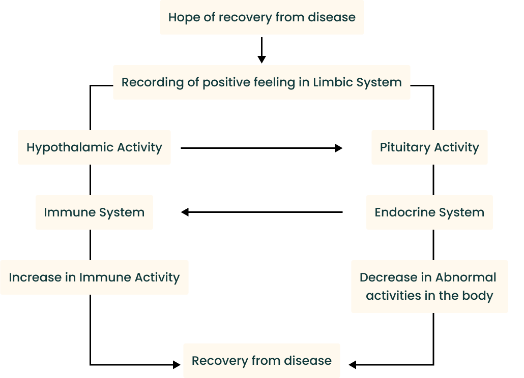 Mind Body Model of Recovery